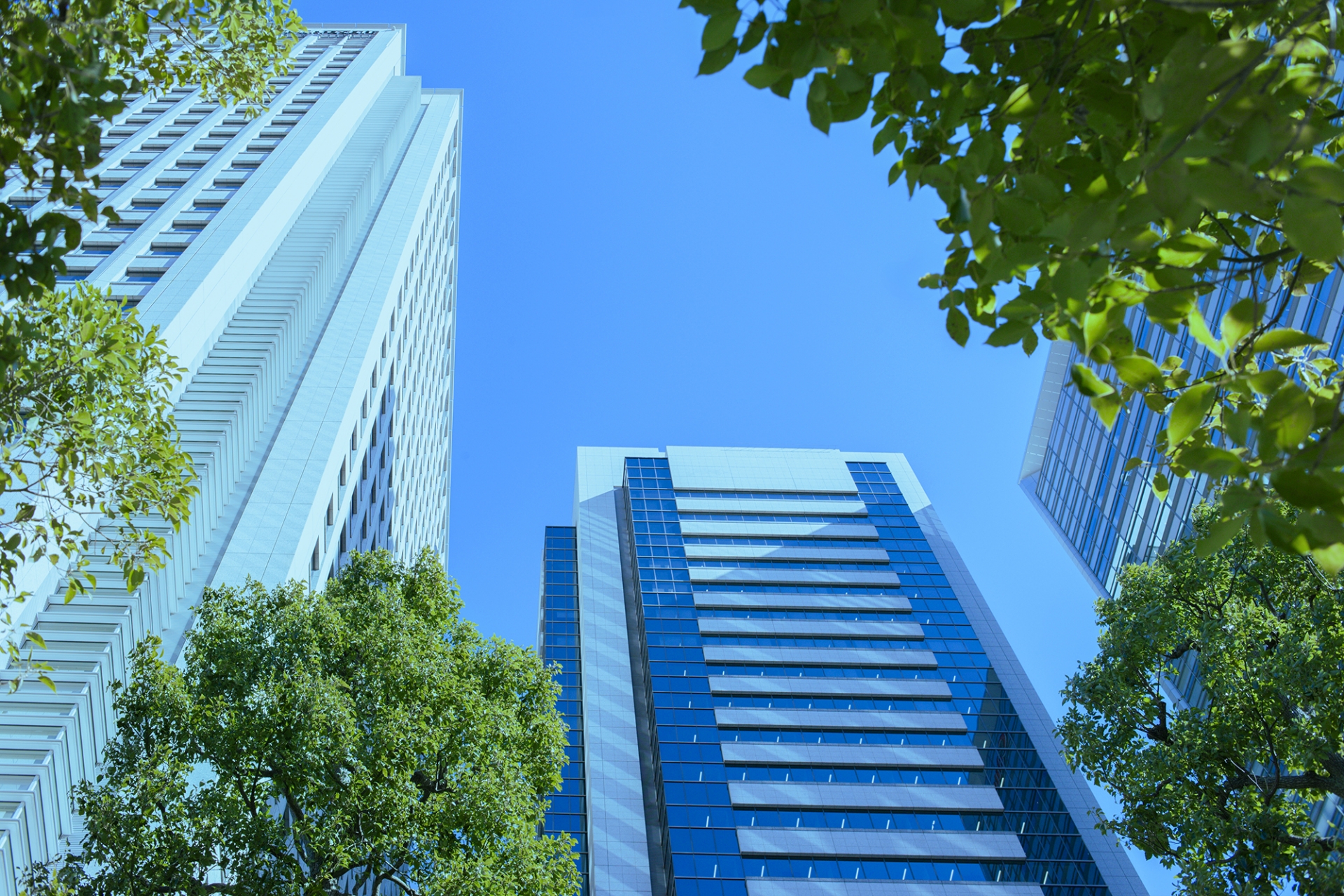 TORAPROJECTの企業イメージ